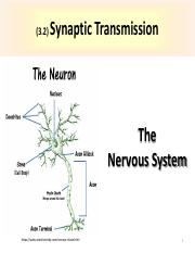 3.2 Synaptic transmission (1).pdf