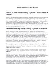 Respiratory System Breakdown.docx
