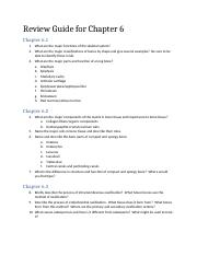 Chapter 6 Review Guide(1).docx