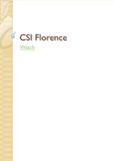 CSI Florence