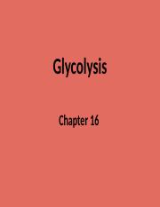 biochemistry chapter 16.pptx