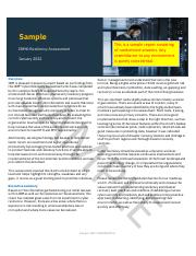 Sample Resiliency Assesment Report.pdf