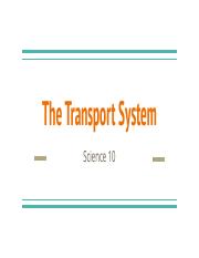 12 - The Transport System.pdf