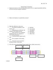 Bio 225 - Skeletal Muscle Worksheet (1).docx