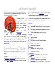 82280989-Anatomy-and-Physiology-of-the-Cerebrovascular-System.doc
