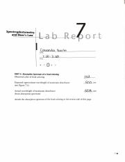 Lab Report 7.pdf