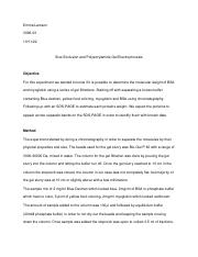 gelfiltration first draft.pdf