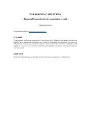 Patagonia Case Study.pdf