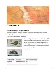 Chapter_3.pdf