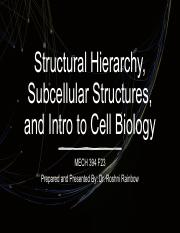 MECH394 F23 2.0 Structural Hierarchy and Intro to Cell Bio.pdf