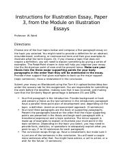 Instructions for Illustration Essay, Paper 3(1).docx
