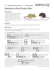 8 Mutation in Mice.pdf