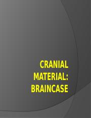 201_2022_02_10 Cranial Braincase.pptx