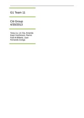 Citi Group Accounting Analysis 2013 Fiscal Year