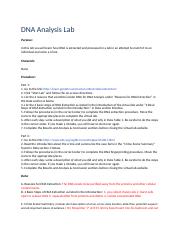DNA Analysis Lab Unit 11- Rachel .docx