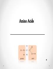 lab3_amino_acid 2.pdf
