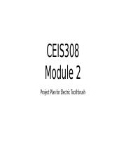 CEIS 308 Project Template_rev Module Deliverable Wk 2.pptx