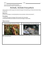 animals__animals_everywhere_0000089904.pdf