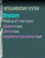 Integumentary Powerpoint 2.ppt