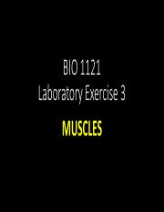 BIO 1121 Laboratory Excercise 3_MUSCLES_Summer 20 Update.pdf
