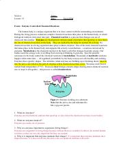 LE.Lesson.13.Enzymes.docx.pdf