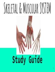 Skeletal and Muscular Study Guide.pdf