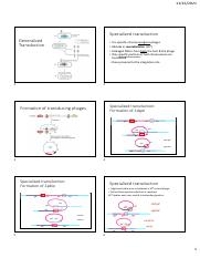Slides lectures 14.pdf