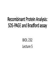 Lecture 5_2020_SDS-PAGE and Bradford assay [Autosaved].pdf