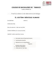 Lab4_Solis Perez_ Hilda Maria_4A.pdf