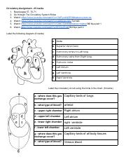 _Circulatory Assignment.pdf
