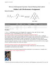 Online Lab 8 Performance Assignment (1).docx