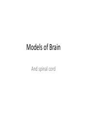 Models of Brain-1.pdf