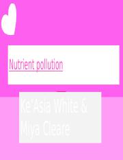 Nutrient Pollution.pptx