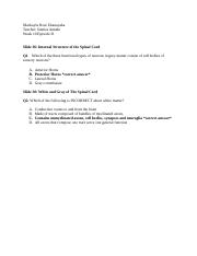 collective questions #4.docx