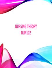 Nursing Theory.pptx