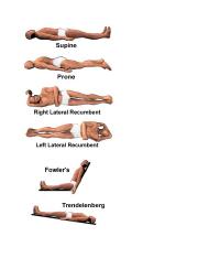 Body Positions.docx