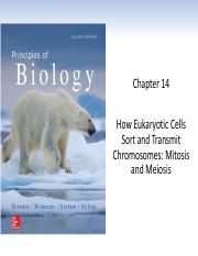 Ch 14 - Mitosis and Meiosis (5).pdf