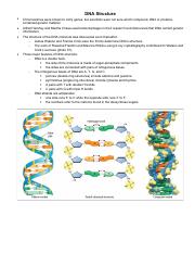 DNA supplemental notes