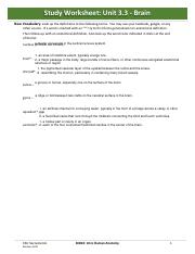 Study Worksheet Unit 3.3 - brain.pdf