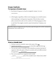 Copy of [Template] What's in a name.pdf