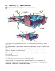 biology4alevel.blogspot.com-27 Summary of Cell membrane.pdf