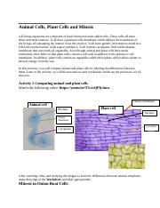 Online Cells and Mitosis Lab.docx