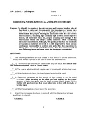 patellar reflex lab report