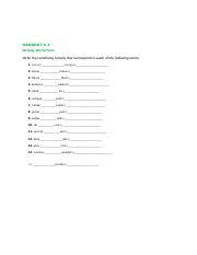 Chapter 6 Medical Terminology Assignment