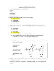 Assignment 08_DNA and DNA Replication (1).docx