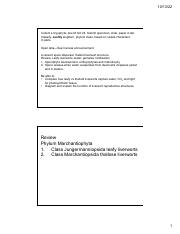 Lecture 3 liverworts.Marchantia.pptx.pdf