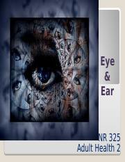 Student copy Eye & Ear ch 22.ppt