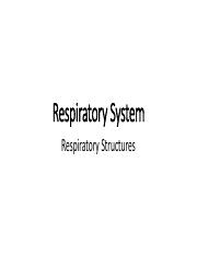 Respiratory Structures.pdf