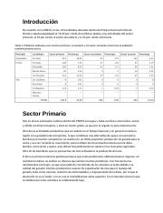 Sector terciario Perote.docx