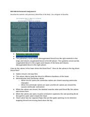BIO 1060-02 Homework Assignment 6.docx